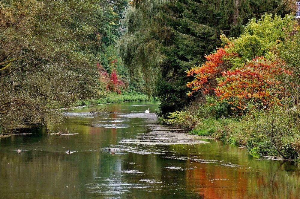 Photograph by backareva irina