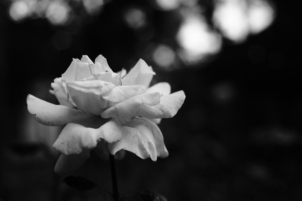 “To find inner Light”~”Обрести внутренний Свет»