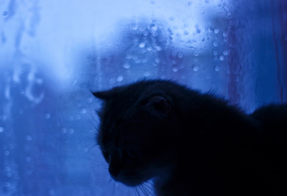 Photograph by Ирина Irina Warm Vision