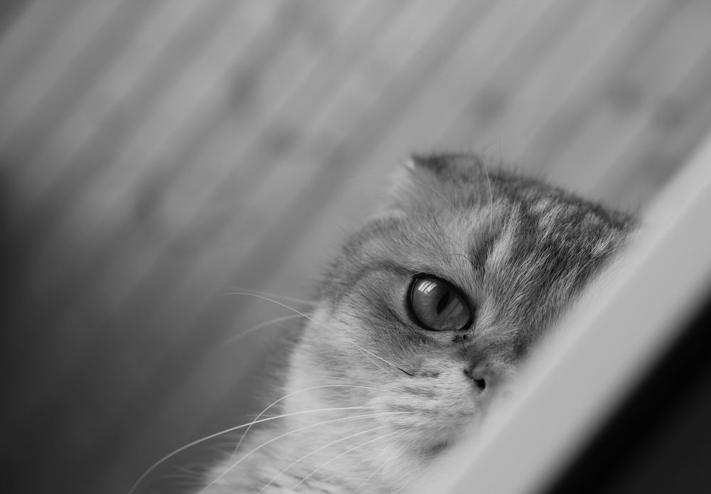 Photograph by Ирина Irina Warm Vision