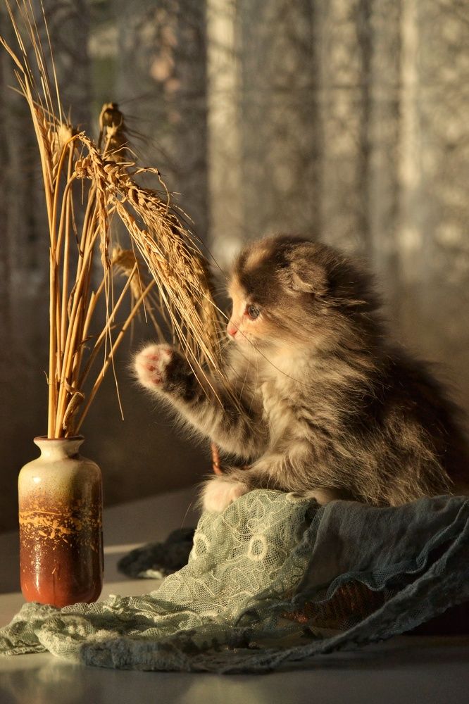 Photograph by Marina Gritchina