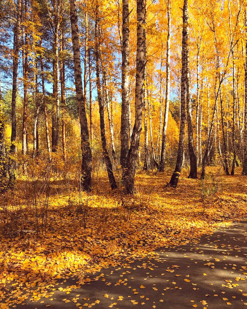 Photograph by Татьяна Волохова
