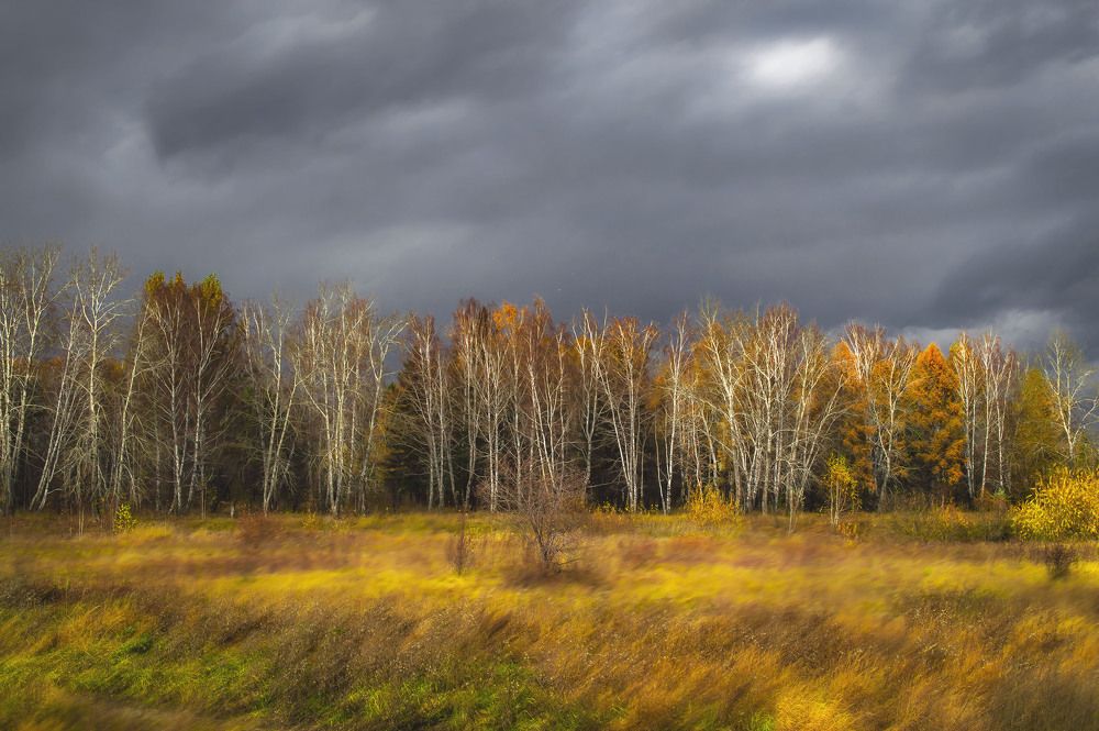 Photograph by Ваиль Алеев