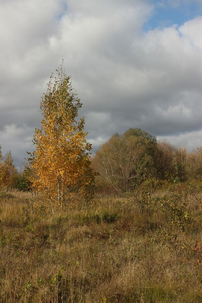 Photograph by Владимир Ясюкевич