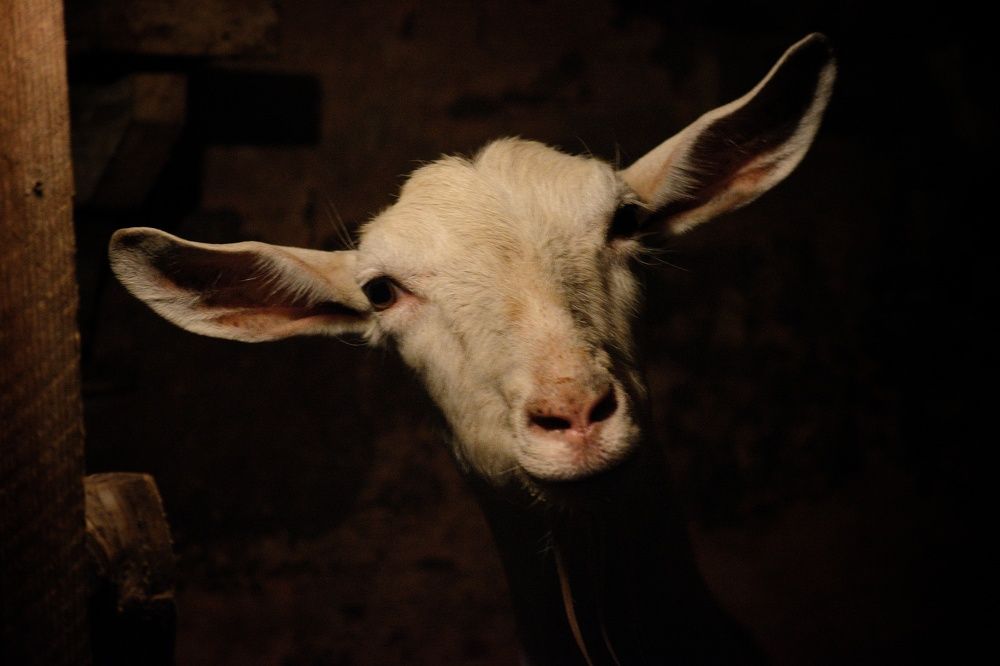 Photograph by Сергей Симаков