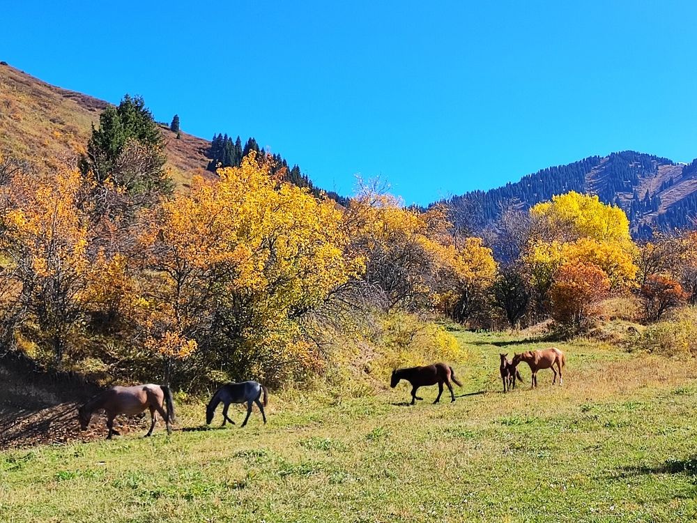 Photograph by Аля Портных