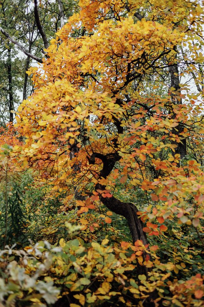 Photograph by Юлия Жукова