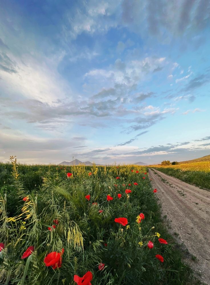 Photograph by Мария Алейникова