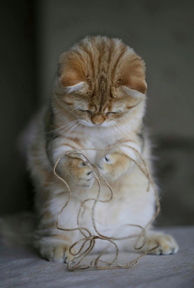 Мой сладенький...