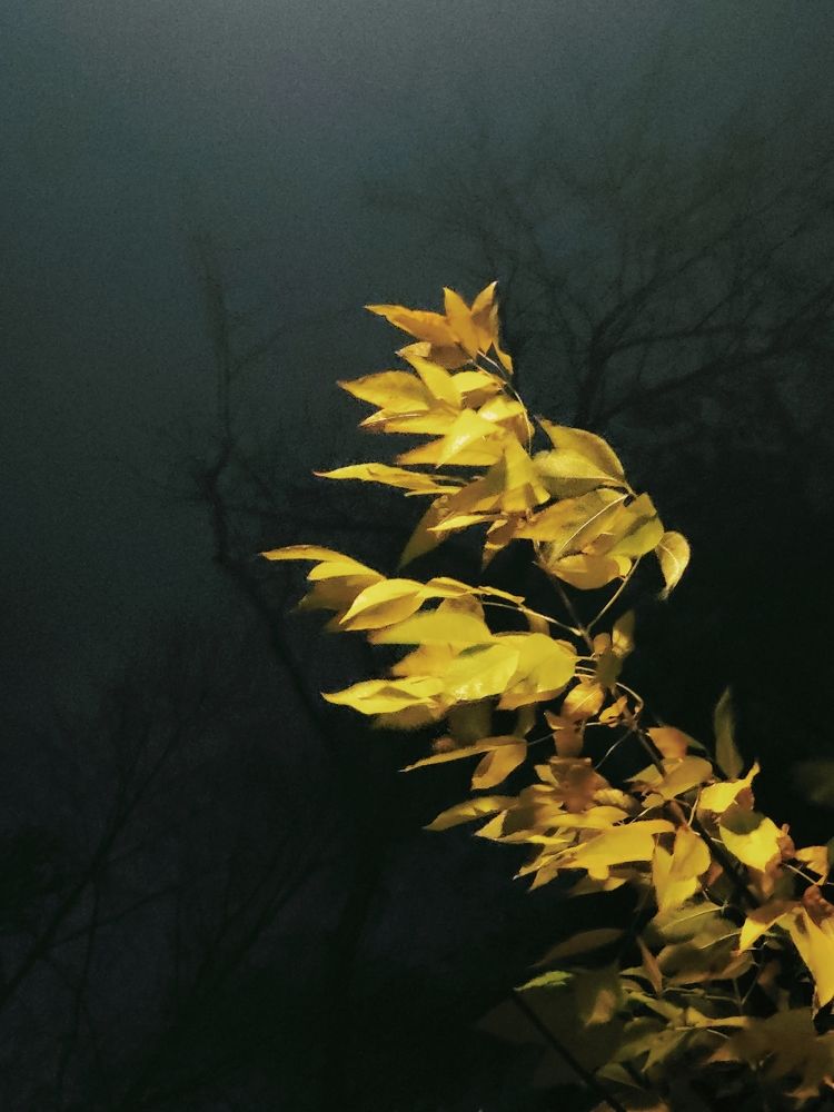 Photograph by Дмитрий Синицын