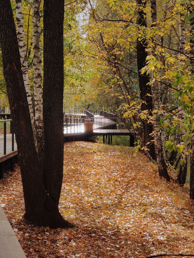 Photograph by Дмитрий Синицын