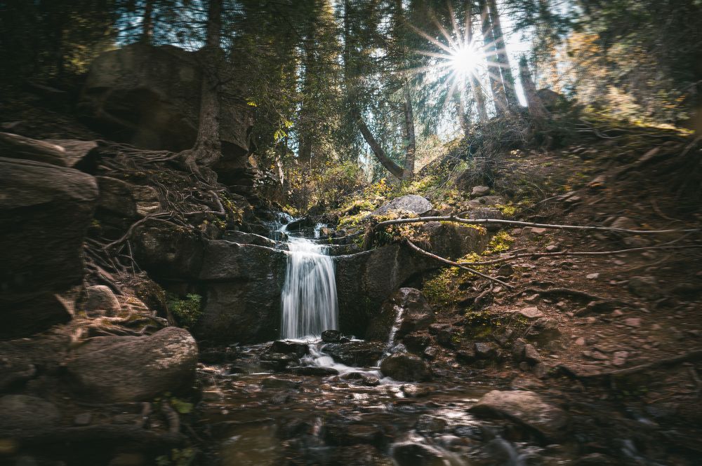 Photograph by Инна Фокина