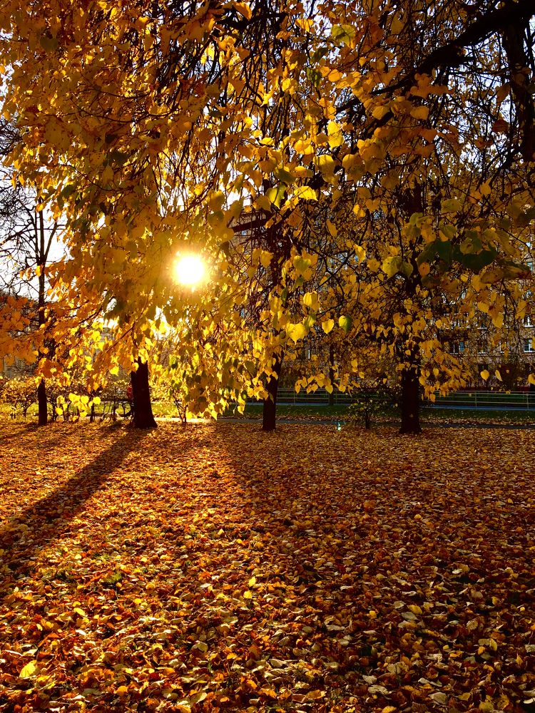 Photograph by Елена Макуха