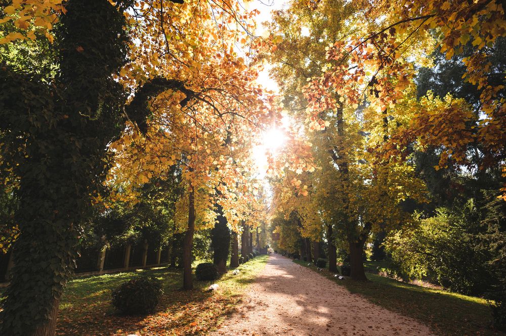 Photograph by Инна Фокина