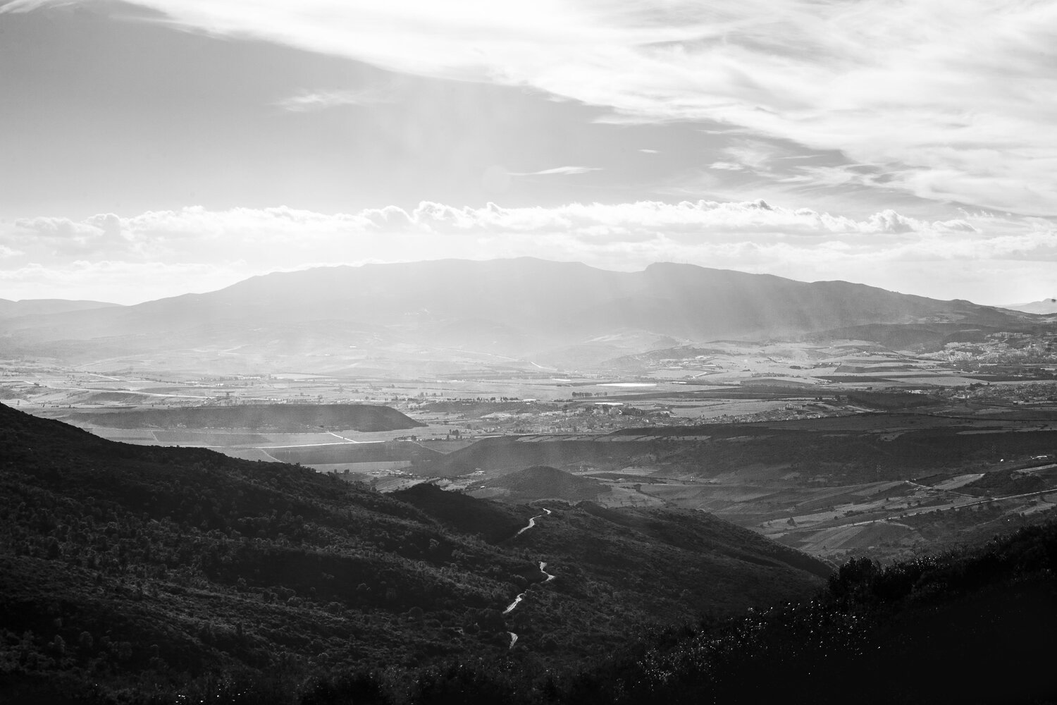 Photo #9681971