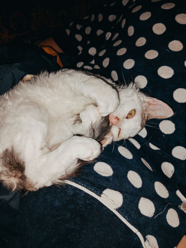 Photograph by Елена (Мори) Кузнецова