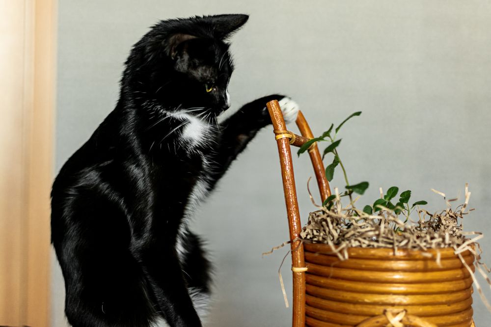 Photograph by Екатерина Абатурова