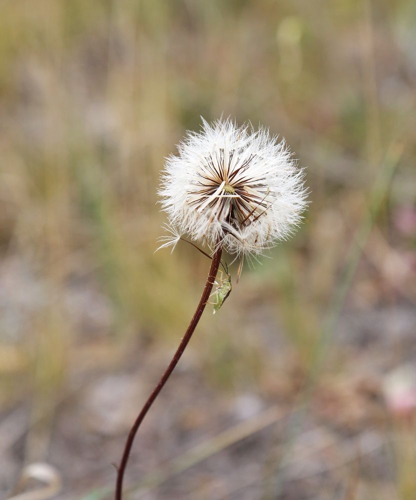 Photograph by Мария Андреева