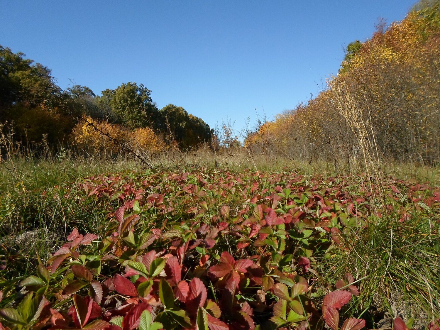 Photo #9682013
