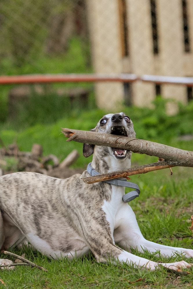 Photograph by Ангелина Высочина