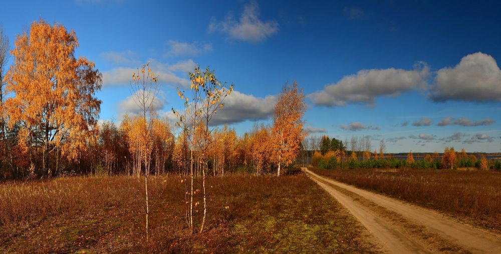 Photograph by Борис Риганов