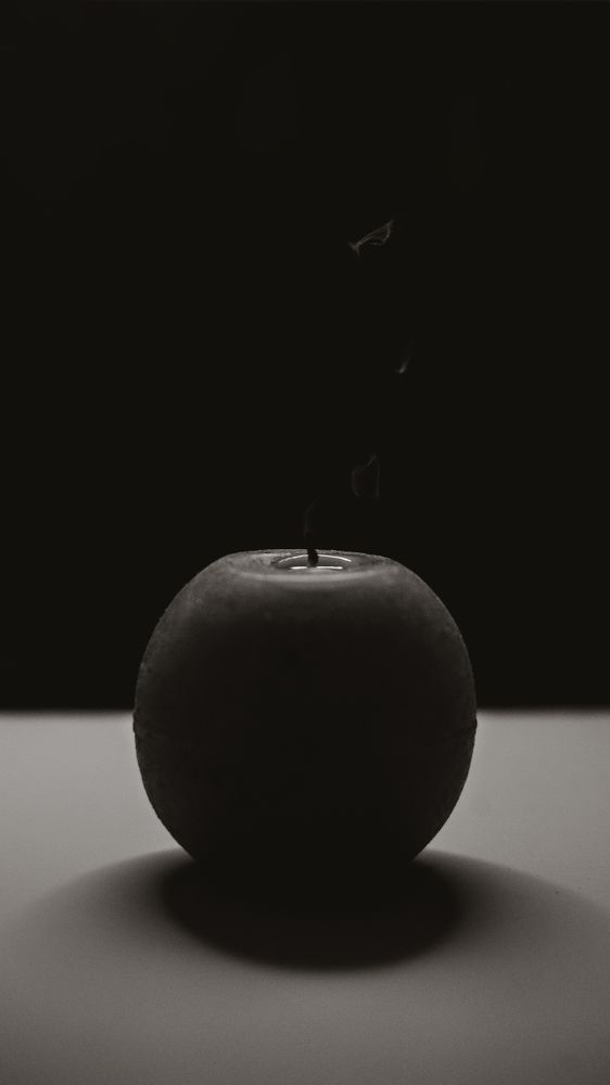 Фотография автора Анна Роганова