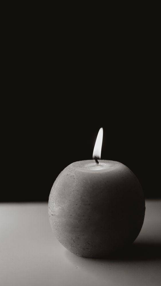 Фотография автора Анна Роганова