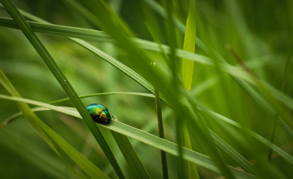 Photograph by Вася Кадочников