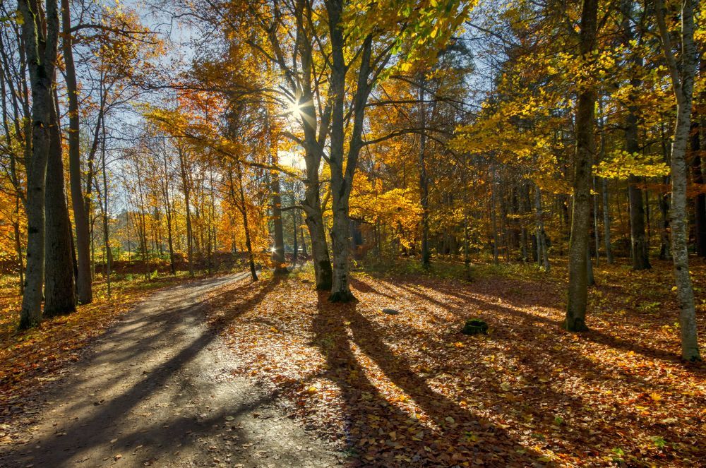 Photograph by Albina Kulikova