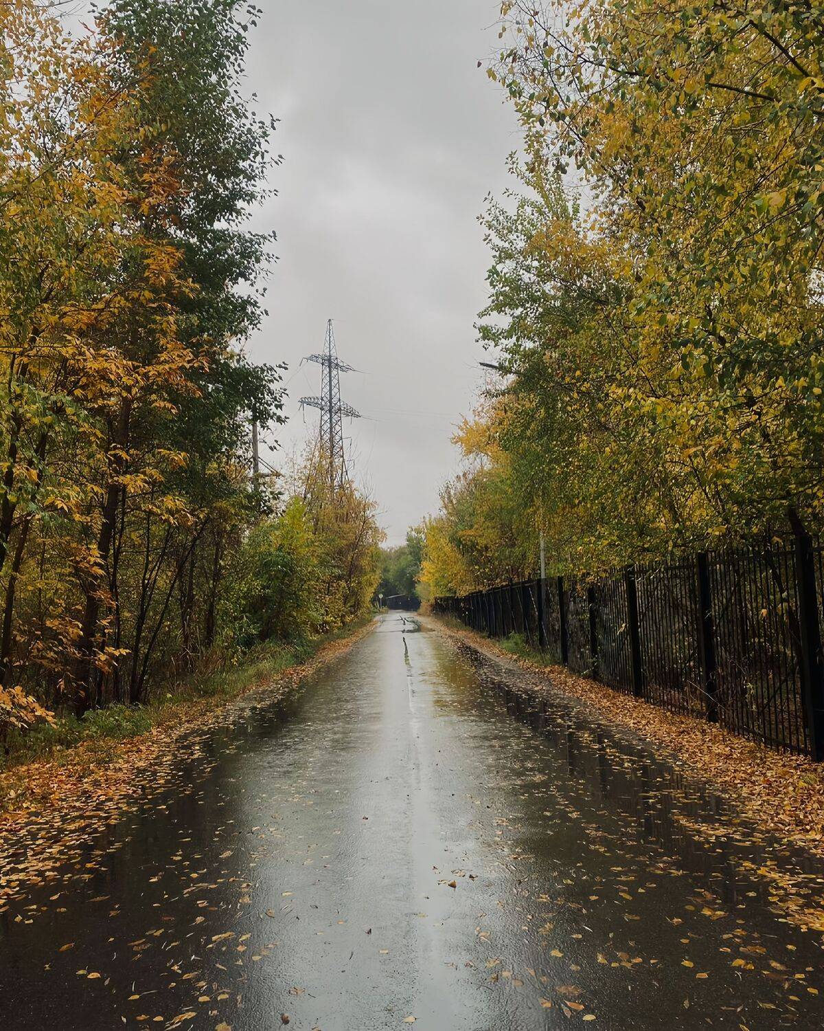 Photo #9682056