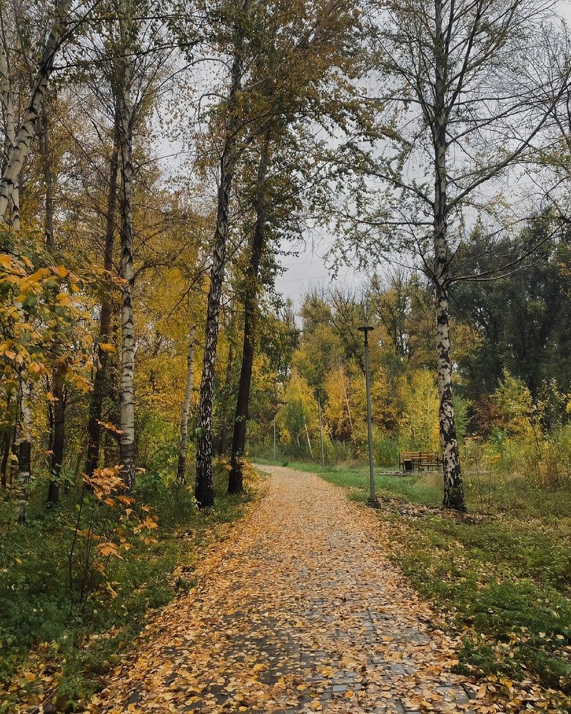 Photograph by Темирлан Амангелди