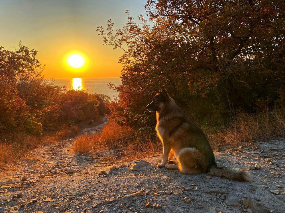 Фотография автора Екатерина Круглик