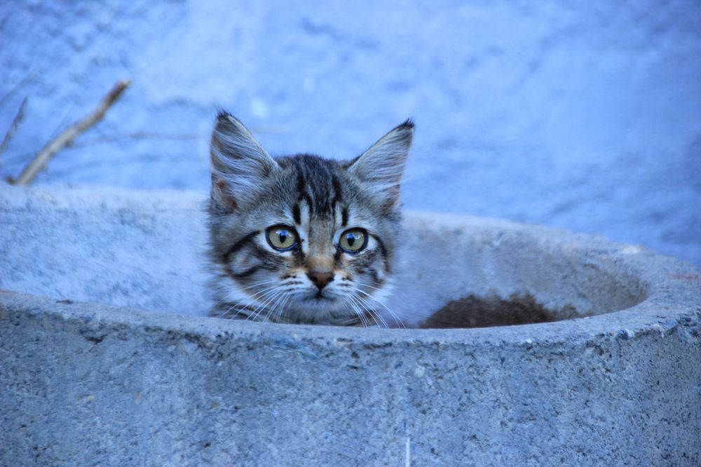 Photograph by Cengiz Yalcin