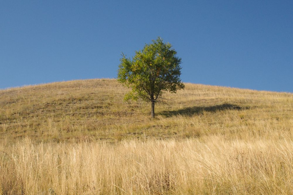 Photograph by Алла Никушкина