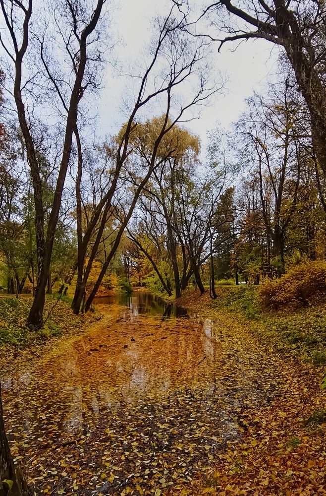 Photograph by Виктория Федосеенко