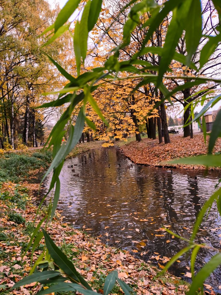 Photograph by Виктория Федосеенко