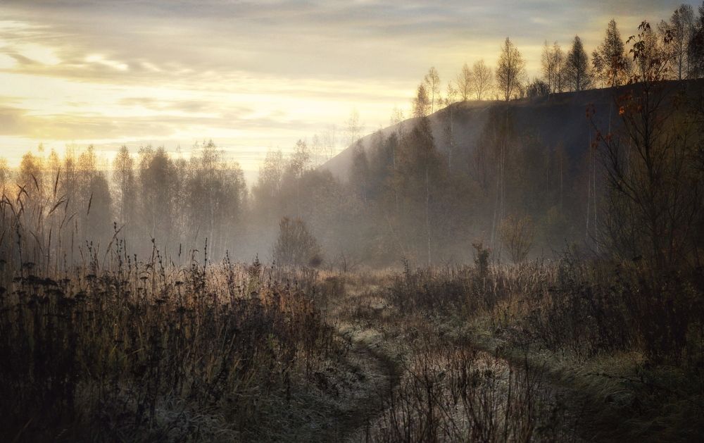 Photograph by Инна Карасева