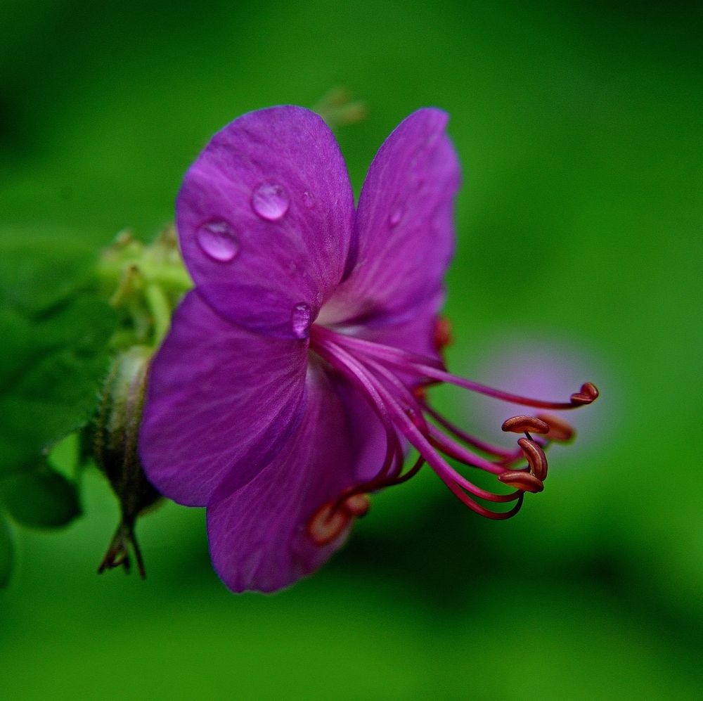 Photograph by Алексей Козлов