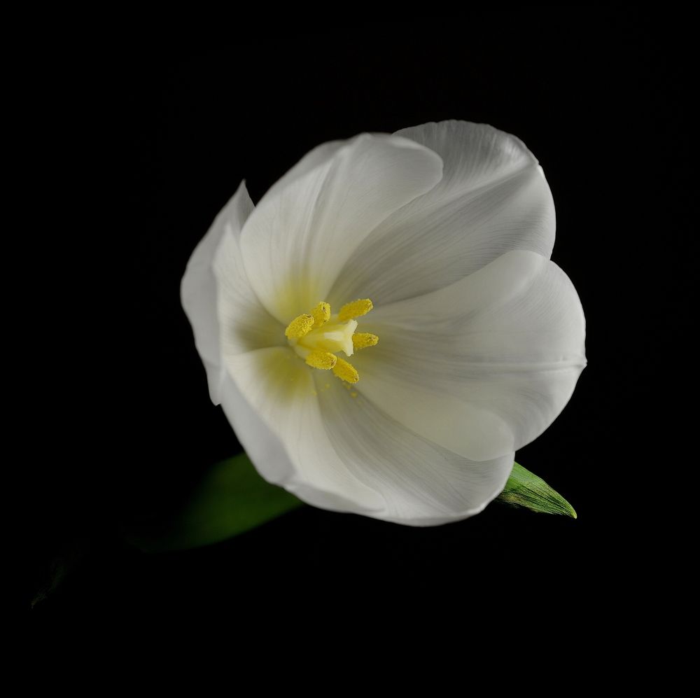 Photograph by Алексей Козлов