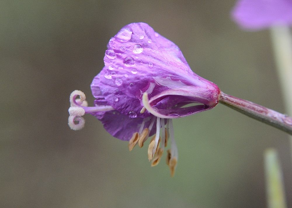 Photograph by Алексей Козлов