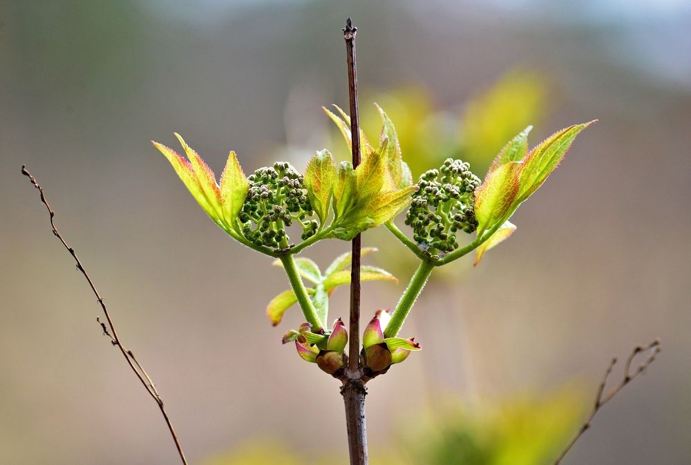 Photograph by Алексей Козлов