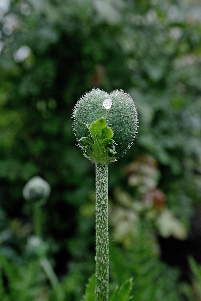 Photograph by Алексей Козлов