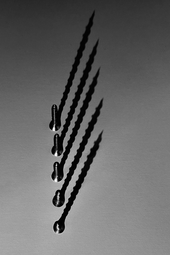 Photograph by Гуляева Светлана