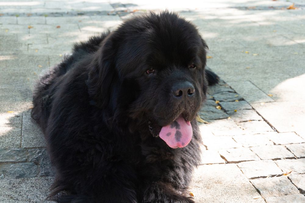 Фотография автора Екатерина Ефанова