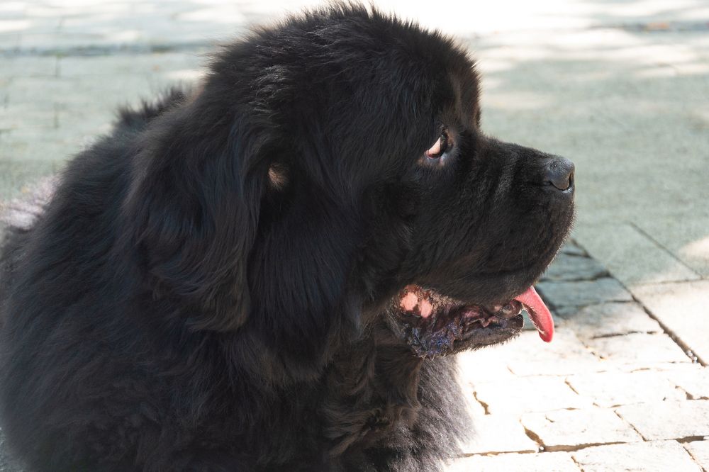 Фотография автора Екатерина Ефанова