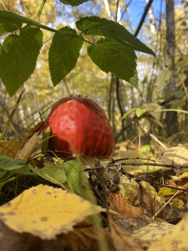 Photograph by Татьяна Колесова