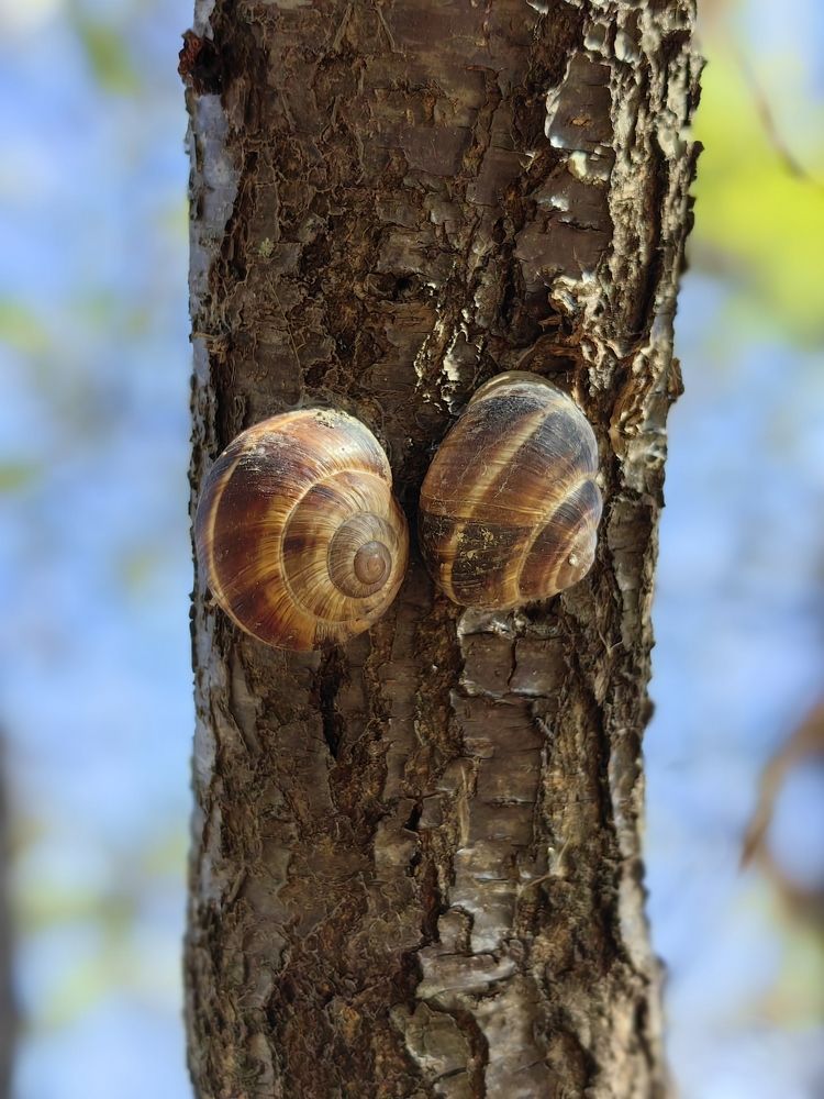 Фотография автора Юлия Лубкина