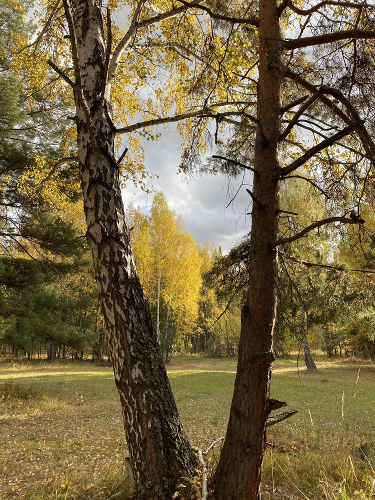 Photograph by Татьяна Колесова