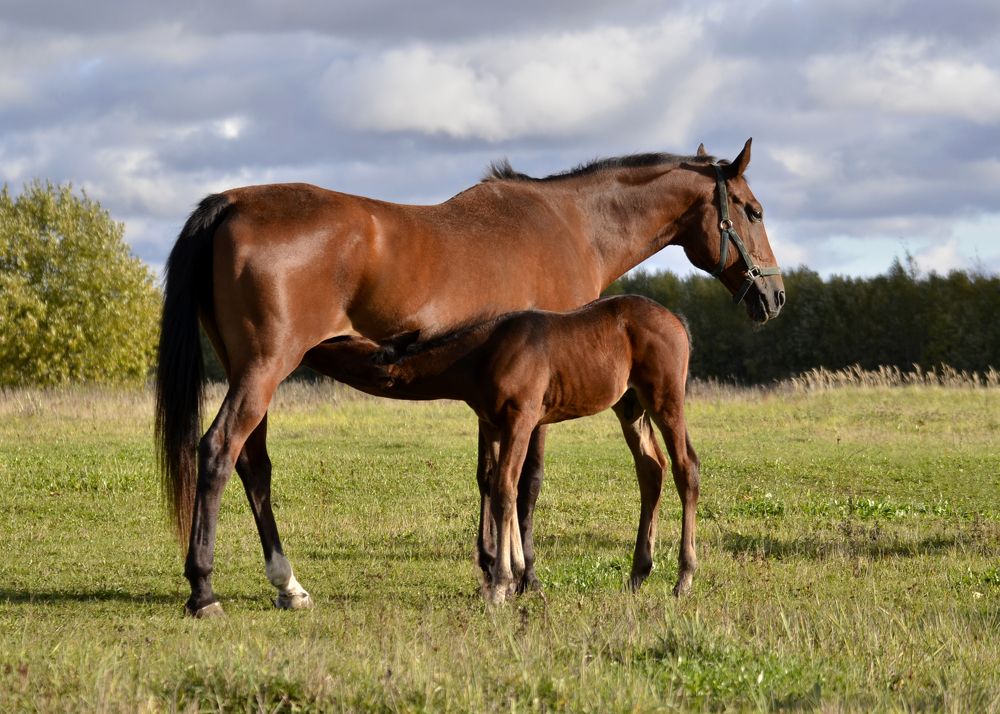 Photograph by Юлия Сидорова