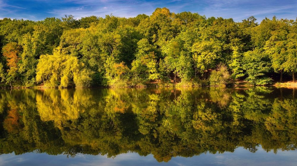 Photograph by Pirpy A